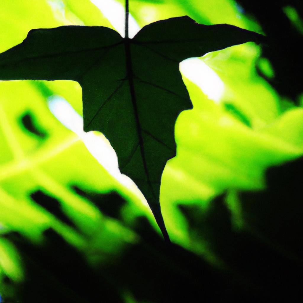 Veja Plantas que Sobrevivem em Sombra